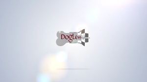 Dây dắt chó mở rộng cho thăm dò ngoài trời nopull dài Nylon dắt chó dây cho giống lớn huấn luyện chó đi bộ bánh