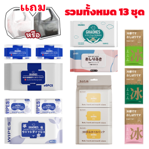 ทิชชู่เปียก แผ่นทำความสะอาด ทิชชู่เปียกขนาดพกพา ทิชชู่เปียกหลากสไตล์ผสมผสาน ทิชชู่ ฟรี อเนกประสงค์ กระเป๋าใส่ของ