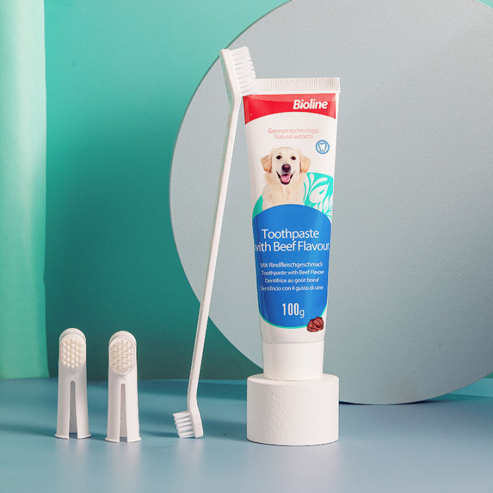 Beef Flavored Toothpaste Set for Dogs 100g Lazada PH