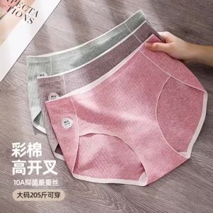 Joe Sir Plus Size Seamless High-Waist Panties - Anti-Bacterial Cotton for Women