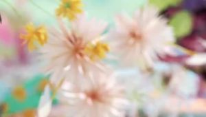 Pull Up Pants or Diapers BUY 1 TAKE 1 Baby Diaper Tapes Ultra-thin Newborn diaper S M L