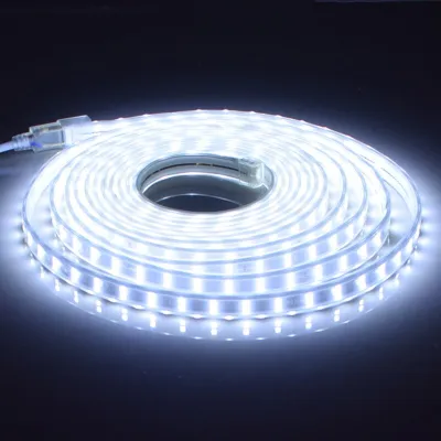 AceDeal [Support Lalamove Bulk Orders] 3/5/10/15/20 Meters w/ Plug LED Strip Double Row Flexible Led Light Strips 120Leds/m Waterproof Led Tape Lamp High Bright White/Warm White Home Decoration