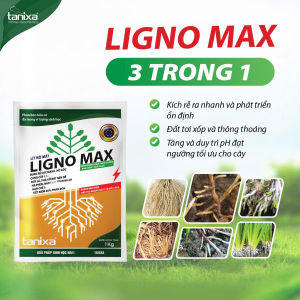 [LIGNO MAX]-Siêu kích rễ-Bung rễ trắng xóa-bật chồi nhanh chóng-nâng pH-hạ phèn-đất tơi xốp-1kg pha 800l nước