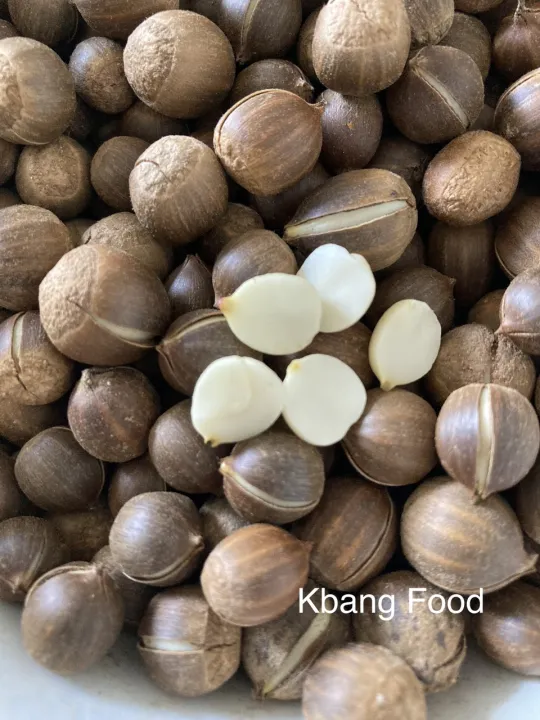 H%E1%BA%A1t%20d%E1%BA%BB%20th%C3%B3c/%20h%E1%BA%A1t%20d%E1%BA%BB%20r%E1%BB%ABng%20nh%E1%BB%8F%20lo%E1%BA%A1i%201/%20chu%E1%BA%A9n%20v%E1%BB%8B%20n%C3%BAi%20r%E1%BB%ABng/mini%20d%E1%BA%BB/1kg%20-%20Image%208