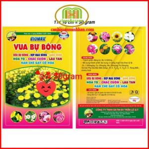 Phân bón kích ra hoa vua bự bông 50gr bông to hết cỡ siêu bự bông mập nụ đẹp màu bông sáng bông lâu tái lâu tàn