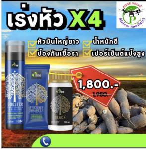 ชุดเร่งหัวมันคูณสี่(X4)โฟร์ทรี 1 ซอง+บู๊สเตอร์ 250 ml.+แบล็คเล็ก 250 ml.สารเสริมประสิทธิภาพพืช ช่วยเพิ่ม%น้ำยาง เพิ่มค่าแป้ง ป้องกันโรคโคนเน่า ท่อน้ำเลี้ยงเน่า รากเน่า เชื้อรา เร่งหัวมันสำปะหลัง 4Treeของแท้ 100%
