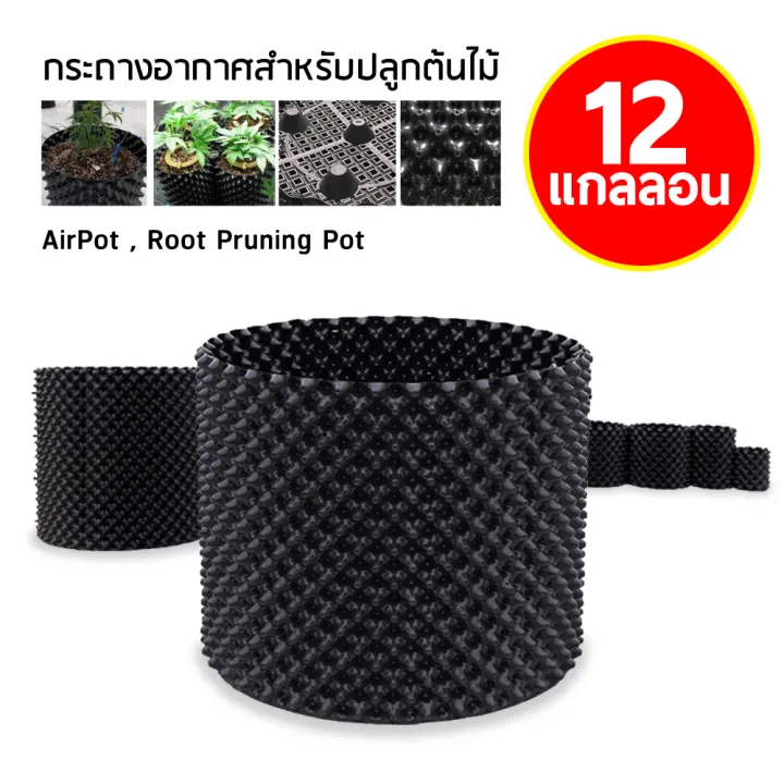Air Pot PVC 7 ขนาด รากโตไว ไม่เน่า