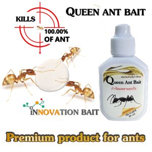 เหยื่อกำจัดมด Queen ant Bait เจลกำจัดมด ฆ่ามดตายยกรัง (ขนาดบรรจุ 30 กรัม)