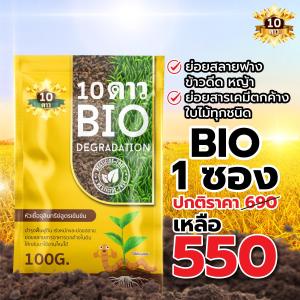 10ดาว BIO หัวเชื้อจุลินทรีย์ สูตรเข้มข้น ย่อยสลายฟาง ข้าวดีด ข้าวเด้ง(ขนาด 100 กรัม 1 ซอง )