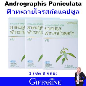 ของแท้ ฟ้าทะลายโจร กิฟฟารีน giffarine ฟ้าทะลายโจรสกัด ฟ้าทะลายโจร สกัดเข้มข้น 24 มก บรรเทาอาการไอ เจ็บคอ บรรเทาอาการอักเสบ ปลอดภัย มาตรฐาน GMP ผ่าน อย.ส่งฟรี