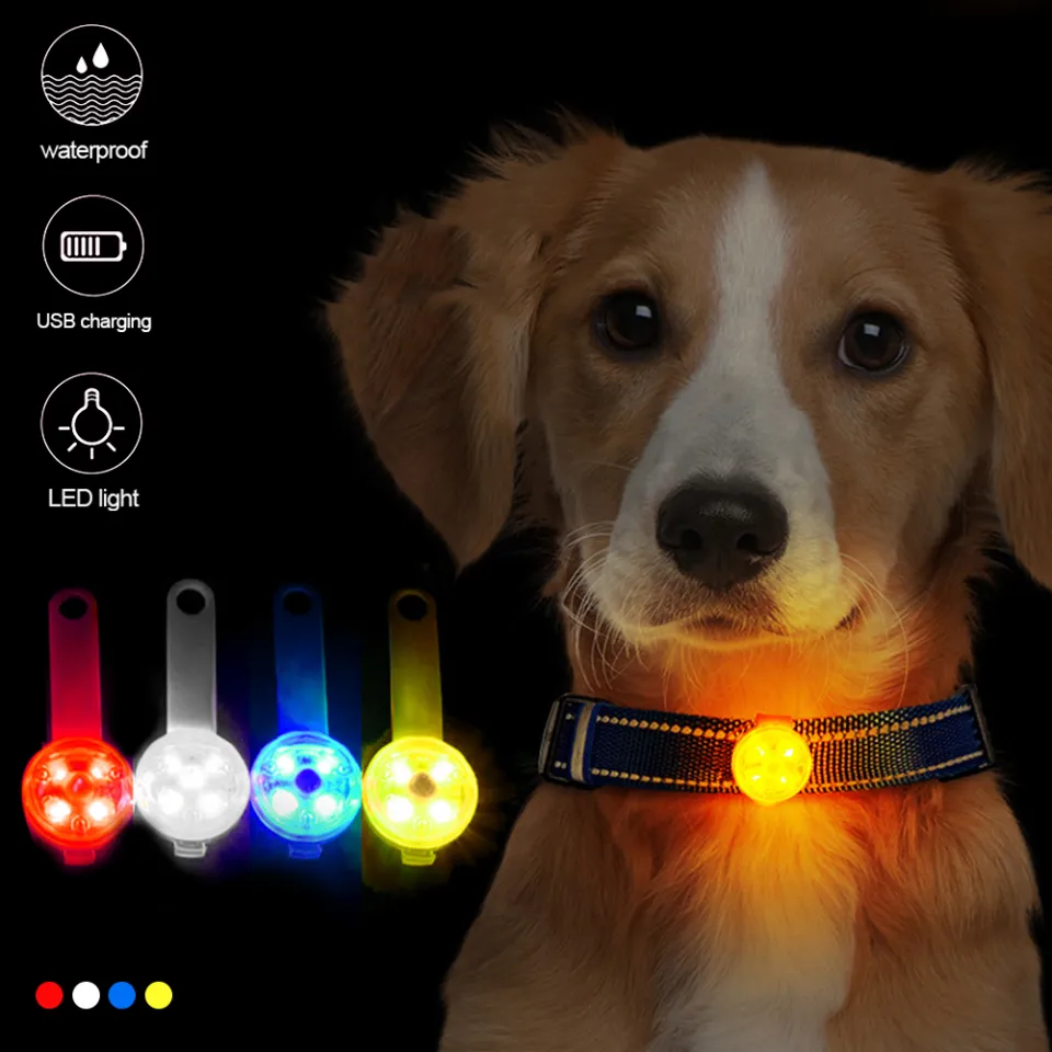 Hittime USB Rechargeable Dog Anti Lost Safety Glowing Collar Pendant  Outdoor Waterproof LED Flashing Light for Pet Cats