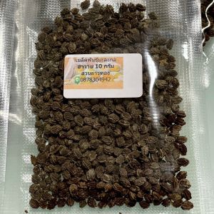 เมล็ดพันธุ์มะละกอ ฮาวายผลสุก หอม หวาน (โปรโมชั่น)