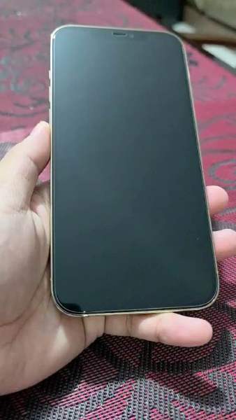 Buyer review video 5