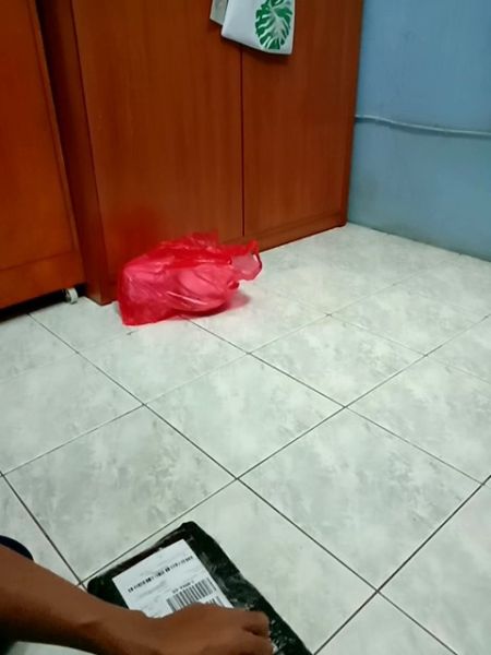 Buyer review video 5