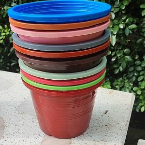 กระถางต้นไม้ 6 นิ้ว คละสี แพ็คละ 10 ใบ