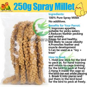 Bird seeds Spray millet for lovebirds Parrot hamsters Feed snack Bird Food All Bird Seed Bird Pellet