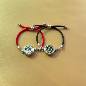 Summer Mosquito Repellent Anklet Portable Mosquito Repellent Device Aromatherapy Essential Oil Anti-Mosquito Anklet Bracelet Red String Zodiac Year Anklet