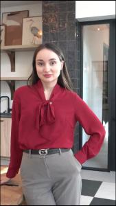 Zeagoo  Women Blouse Chiffon Long Sleeve Shirt Bow Collar Work Tops Business Casual Wear