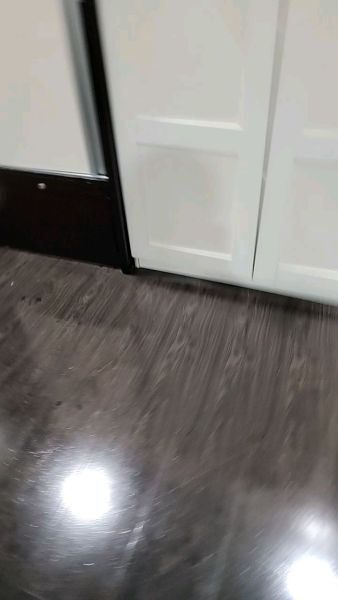 Buyer review video 2