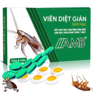 [[COMBO 2 HỘP]] Viên diệt gián sinh học AMB an toàn hiệu quả nhanh chóng