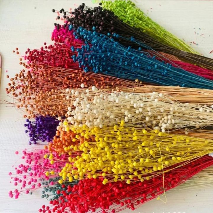 Dried Acacia Bean Preserved Dried Flowers Dried Memories PH Lazada PH