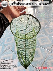 ถุงชั่งปลาตาข่ายวงสแตนเลส