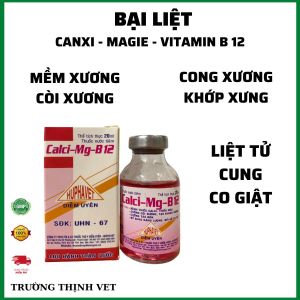 canxi magie b12 chống co giật sốt sữa còi xương bại liệt 20ml. Thú y Trường Thịnh