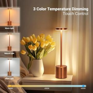 Aunlight LED Rechargeable Touch Metal Table Lamp Three Colors Bedside Creative Ambient Light Bar Outdoor Decoration Night Light