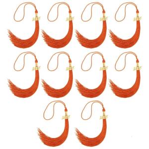 10 chiếc lớp 2025 tua tốt nghiệp mũ tốt nghiệp Mặt treo tua rua cho lớp 2025 sinh viên tốt nghiệp đồ trang trí trang phục