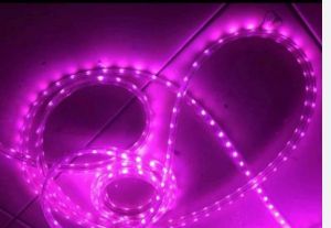 Lampu Led Strip Selang 5050 smd PAKET 10 METER + 1SOKET  220V - bisa langsung sambung ke listrik