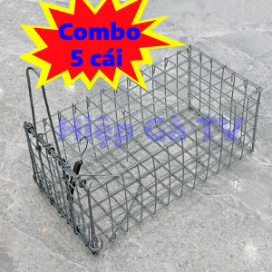 Combo 5 Bẫy Chuột Cống Nhum 10x12x24cm Có Khoen Chống Sẩy