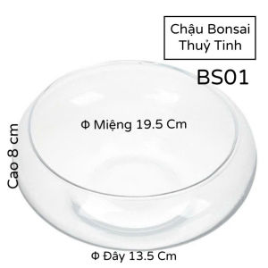 Bể Thuỷ Tinh - Chậu Nuôi Cá Trông Cây Bonsai Để Bàn BS01 Glass Contaier Φ 20cm