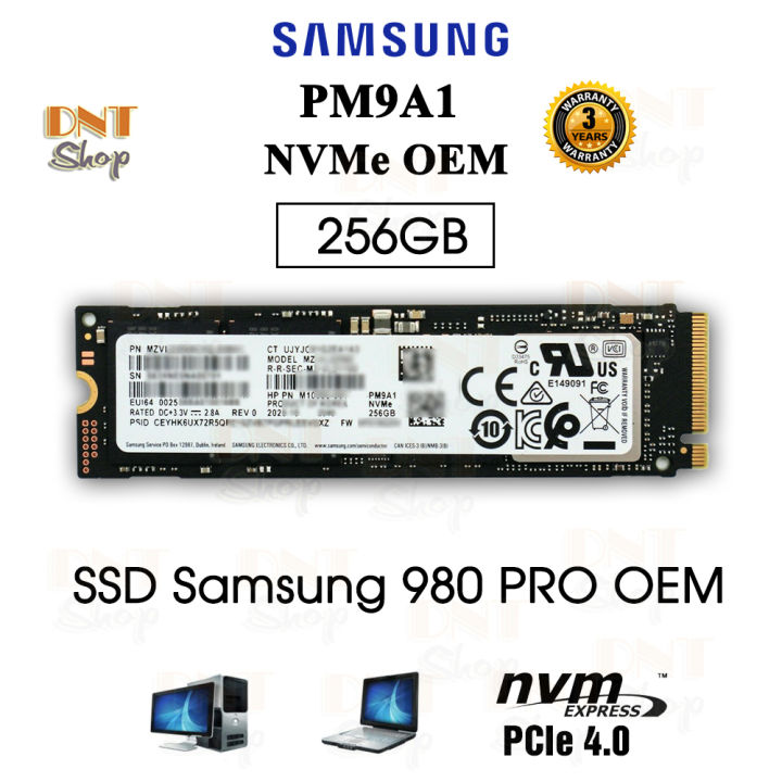 Ổ cứng SSD Samsung NVMe PM9A1 M.2 PCIe Gen4 x4 256GB - OEM 980 PRO  (MZ-VL22560) | Lazada.vn