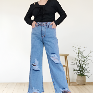 Jeans Wanita Terbaru 2023 Jey Jeans Long Pants Celana Panjang Korean Style Bawahan Kekinian OOTD