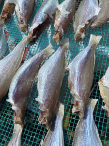 500G Khô cá đổng ít xương dày thịt thơm ngon bỗ dưỡng