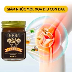 Cao xoa bóp giảm đau xương khớp Kim Xà Aminochondroitin Sulfate giảm đau cơ cổ vai gáy hũ 50g - Snappy 4U