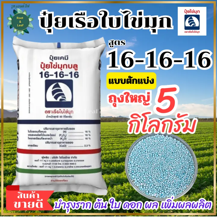 ปุ๋ยเรือใบไข่มุก 16-16-16 ขนาด 5 กก. บำรุงพืชผักผลไม้