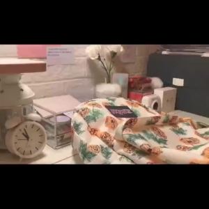 ☻☺Super Jasper Super JanSport beg galas klasik warna tulen lelaki dan perempuan pelajar sekolah beg kampus perjalanan