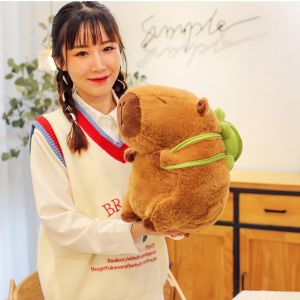 CAPYBARA GẤU BÔNG CHUỘT LANG