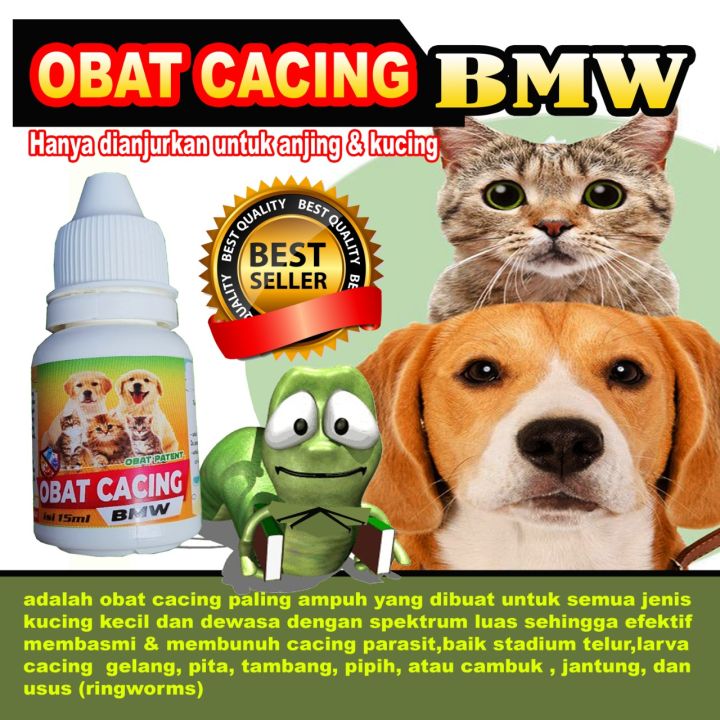 OBAT CACING KUCING/Obat cacing hewan/Obat binatang/obat kucing