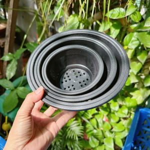 CNTTO - Combo 3 chậu tô như hình chậu chuyên trồng cây sen đá xương bonsai cây để bàn