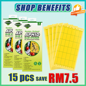 Geckos have completely disappeared! perangkap cicak paling berkesan Odor Free Gecko Trap Selamat Untuk Rumah lizard trap glue Multi‑Scene Lizard Capture Trap pelekat cicak lizard glue trap perangkap lipas dan cicak