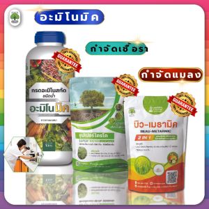 อะมิโนมิค+ไตรโค+บิว-เมธามิค ตราเทพมงคล บำรุงพืช กำจัดเชื้อรา กำจัดแมลงด้วง #สูตรปุ๋ยเร่งต้นไม้ให้โตเร็ว
