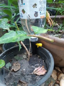 เครื่องดื่ม หยดน้ำต้นไม้ รดน้ำต้นไม้ ปรับการหยดได้