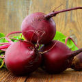 [Easy to grow in the Philippines] 100pcs Fresh Beetroot Seeds buto ng gulay Sugar Beets Seeds Heirloom Dark Red Beet Seeds High Yield Organic Vegetable Seeds for Planting Vegetables Seeds for Gardening Bonsai Seeds Potted Live Plants for Sale rijk zwaan. 