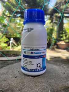 [VTNN TIEN KHOA] Thuốc trừ bệnh rỉ sắt thán thư khô vằn lem lép hạt BRETIL SUPER 300EC chai 240ml