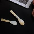 MONEY Ice Cream Mother of Pearl Conch Shell Teaspoon Coffee Scoop ...