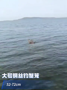 Steel Wire Fishing Trap Net for Saltwater Outdoor Fishing Tackle Tool Automatic Open Closing Fish Networks