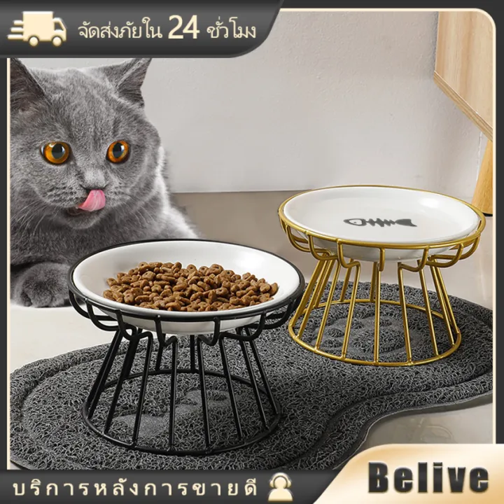 10 อันดับ ชามแมวยกสูง ยี่ห้อไหนดี? อัปเดตปี 2025 เพื่อสุขภาพที่ดีของน้องแมว