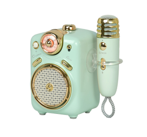 Divoom Fairy OK II Versatile Bluetooth 20 Core 12watt Speaker in Microphone Singing & Playing Local Radio FM